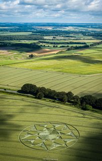 aerial of Longwood Warren from ccc