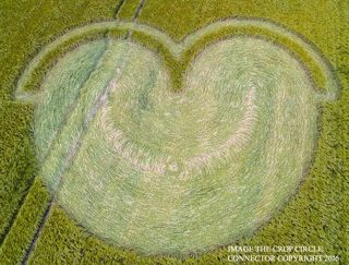 aerial of Wilton Windmill