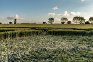 ground of Danebury Hill from ccc