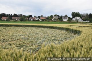 ground of Blaesheim from ccc