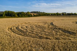 ground of Roundway Devizes from ccc