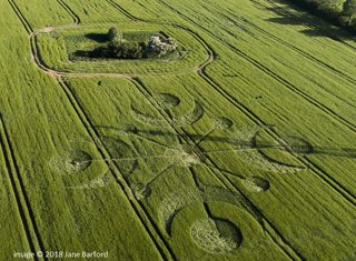 aerial of Buckland Down