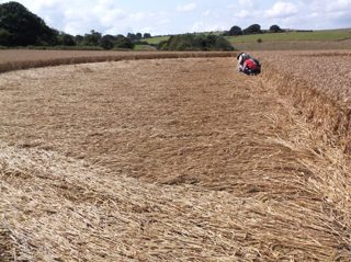 ground of East Kennett from ccc