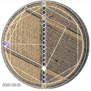 diagram of Chirton Bottom from ccc