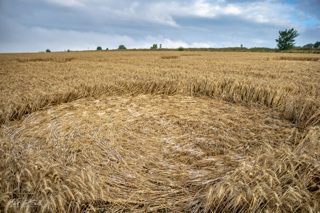 ground of Fonthill Bishop from ccc