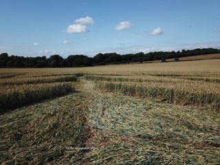 ground of Tichborne from ccc