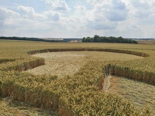 ground of Coneybury Hill from ccc