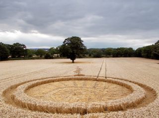 ground of Wotton Wawen from ccc
