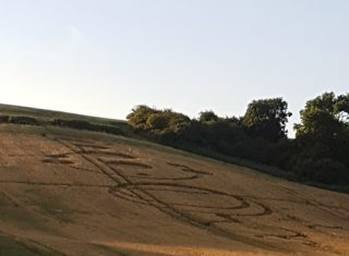 ground of Roydon from ccc