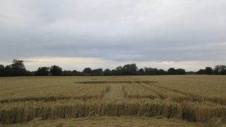 ground of Rushock from ccc