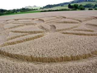 ground of Dornberg / Zierenberg