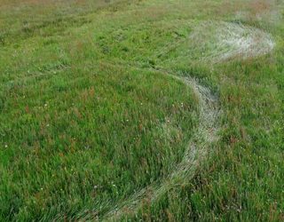 aerial of Hoeven Nature Preserve (“A-B”) Road