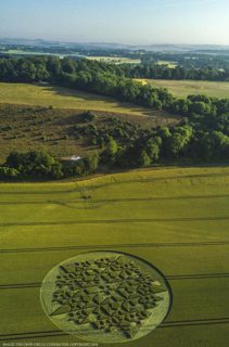 aerial of Martinsell Hill from ccc