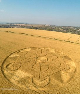 aerial of Nursteed
