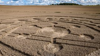 ground of Roundway Hill from ccc