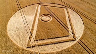 aerial of Gurston Ashes