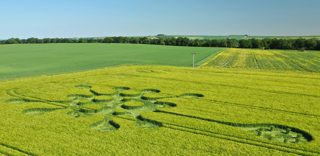 aerial of Potterne from ccc