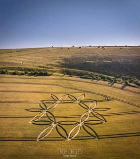 aerial of Norton Bavant