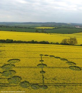 aerial of Willoughby Hedge from ccc