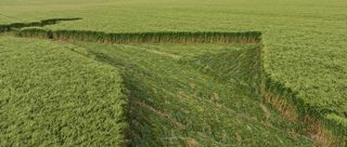ground of Furze Knoll from ccc