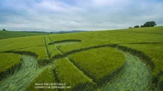 ground of Chicklade from ccc