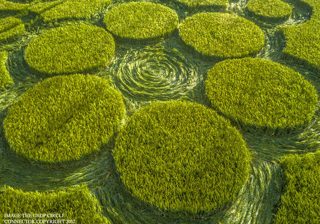 ground of Ashway from ccc