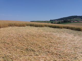 ground of Baggwilgraben from ccc