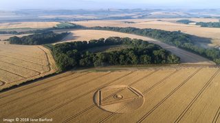 aerial of Gurston Ashes from ccc
