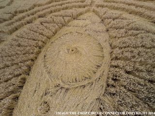 aerial of Nettle Hill