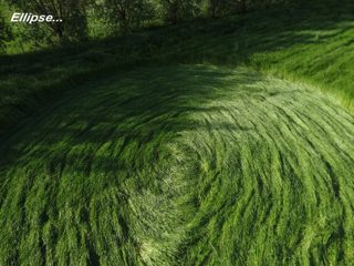 aerial of Bosschenhoofd