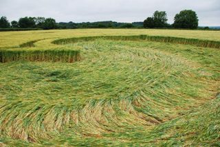 ground of Wilton Windmill from ccc