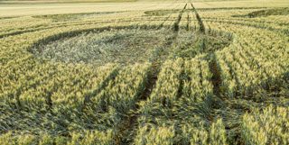 ground of Etchilhampton from ccc