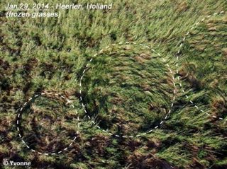 aerial of Hoeven from ccc