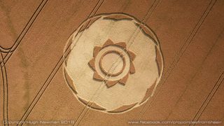 aerial of Longwood Warren from ccc