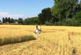 ground of Pontecurone from ccc