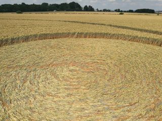 ground of Coneybury Hill from ccc