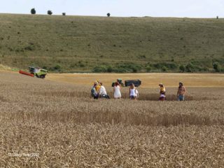 ground of Heytesbury from ccc