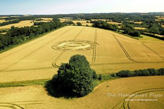 aerial of Woodcote Lane