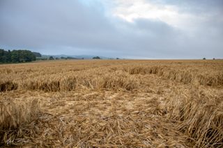 ground of Fonthill Bishop from ccc