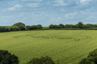 ground of Blandford Forum from ccc
