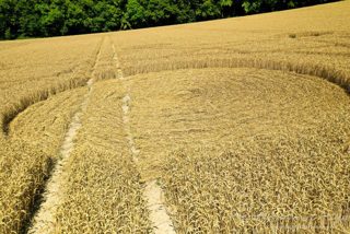 ground of Heytesbury from ccc