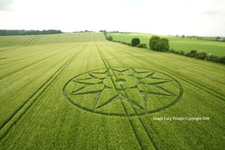 aerial of Willoughboy Hedge from ccc