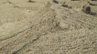 ground of Barton Stacy from ccc