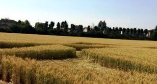 ground of Pontecurone from ccc