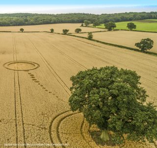 ground of Wotton Wawen from ccc