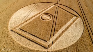 aerial of Gurston Ashes