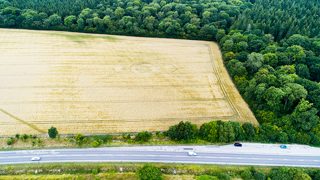 aerial of Norridge Wood