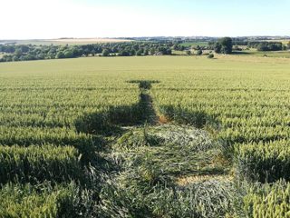 ground of Waden Hill from ccc
