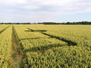 ground of Sutton Hall from ccc
