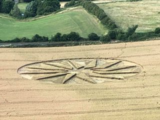 ground of Westbury White Horse from ccc